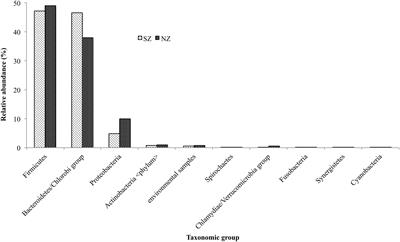 Distribution and Classification of Serine β-Lactamases in Brazilian Hospital Sewage and Other Environmental Metagenomes Deposited in Public Databases